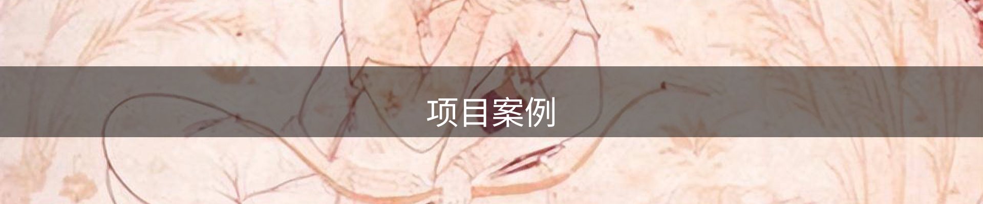 项目案例